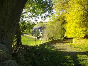 Image 24